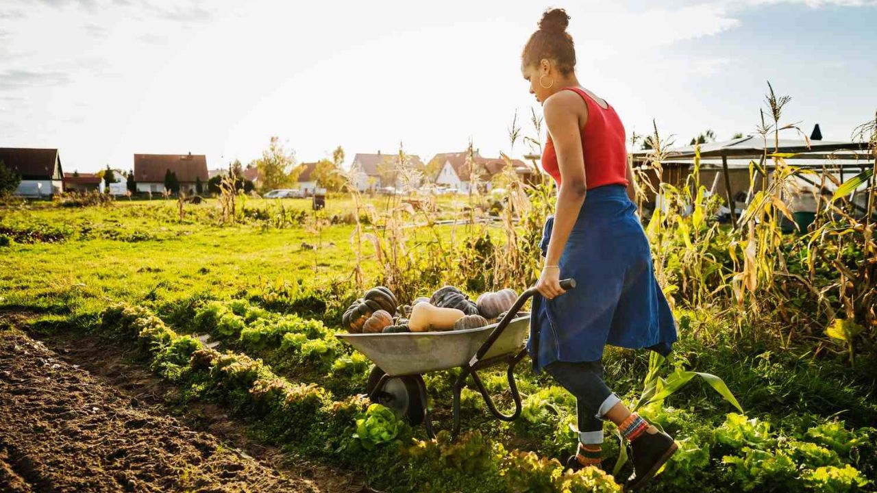 कैसे मोटा मुनाफा देती