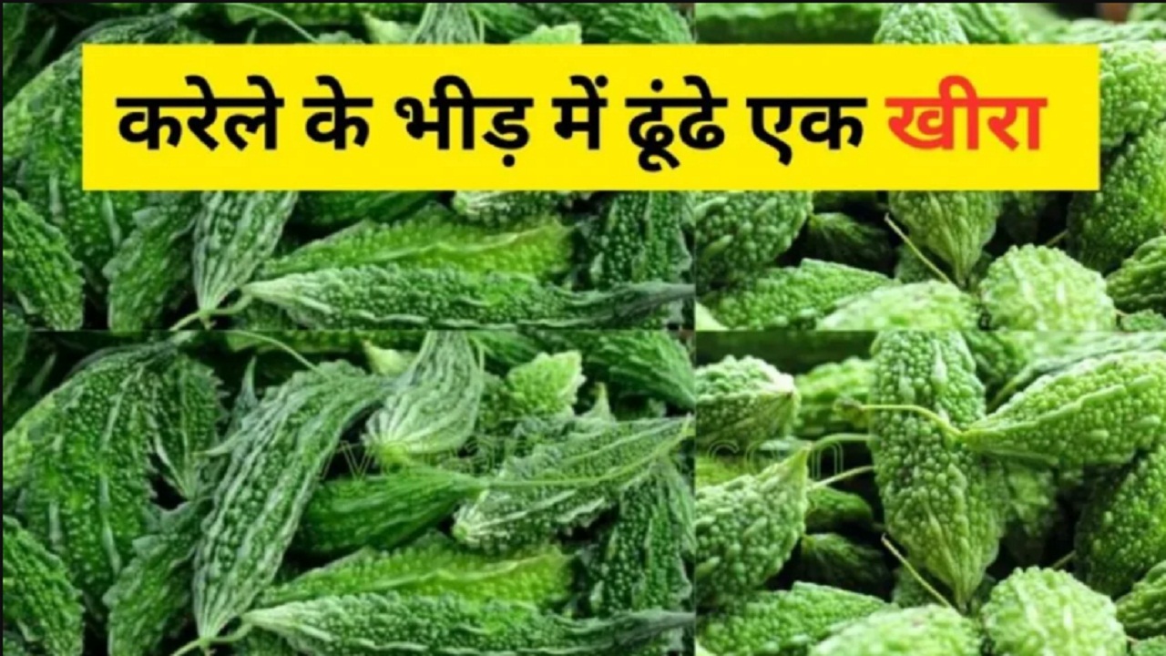 Optical Illusions: करेलों में