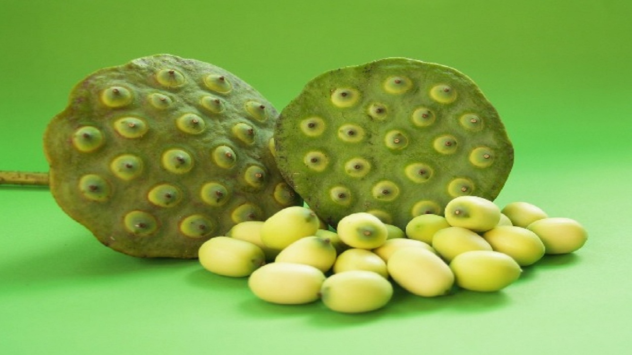 50 की उम्र 25