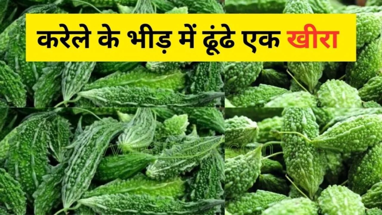 Optical Illusions: करेले के